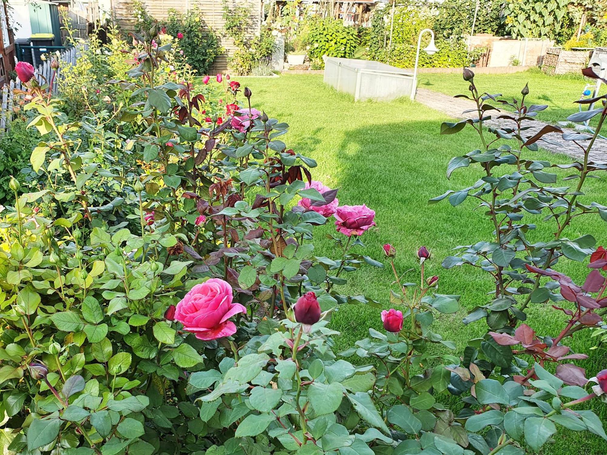 Ferienwohnungen Hainichglueck บัดลังเงนซัลซา ภายนอก รูปภาพ